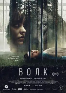 Волк онлайн